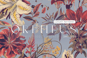 Orpheus Vintage Archive Lily Prints