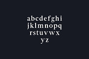 Aara Serif Font Family Pack, a Serif Font by Creativetacos (Thumbnail 3 of 5)