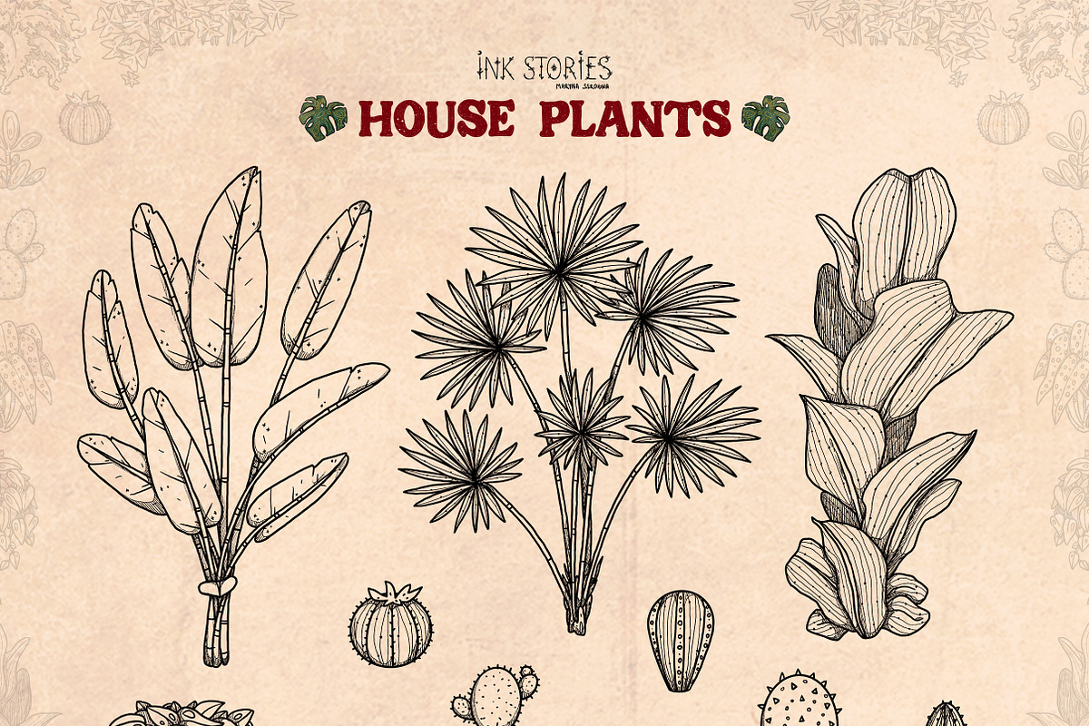 House Plants, an Object Illustration by Ink Stories (Photo 7 of 23)