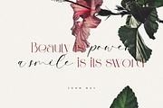 The Lacoste Font Duo, a Serif Font by Pen Culture (Thumbnail 3 of 9)