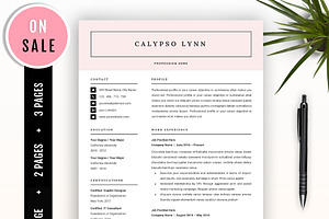 Resume Template For Microsoft Word