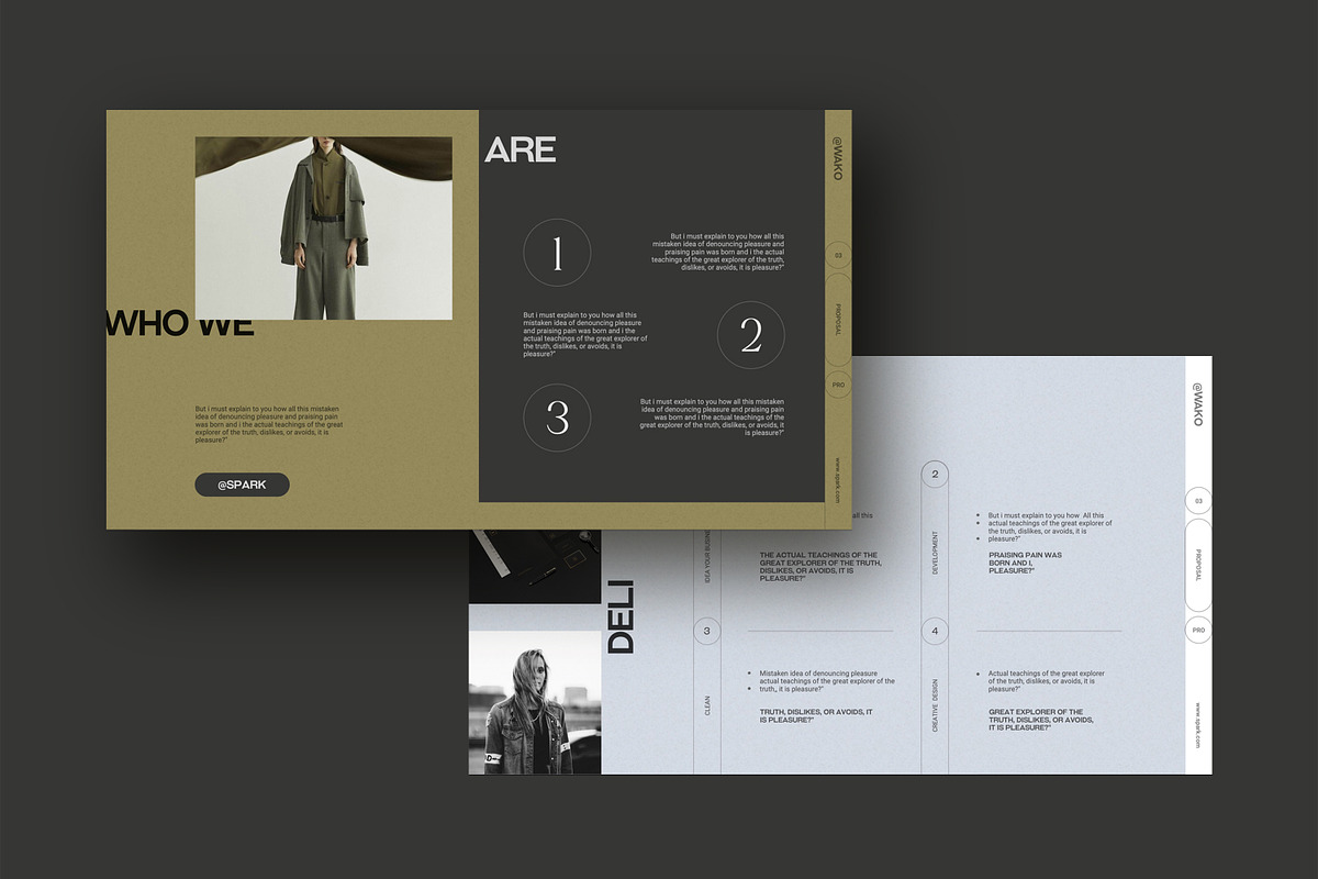 Brand Proposal Template, a Presentation Template by SparkPro (Photo 8 of 12)