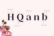 Sincerity Extra Bold, a Serif Font by OceaneM (Thumbnail 4 of 6)