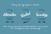Advertising Script - 5 fonts, a Script Font by Zetafonts (Thumbnail 3 of 7)