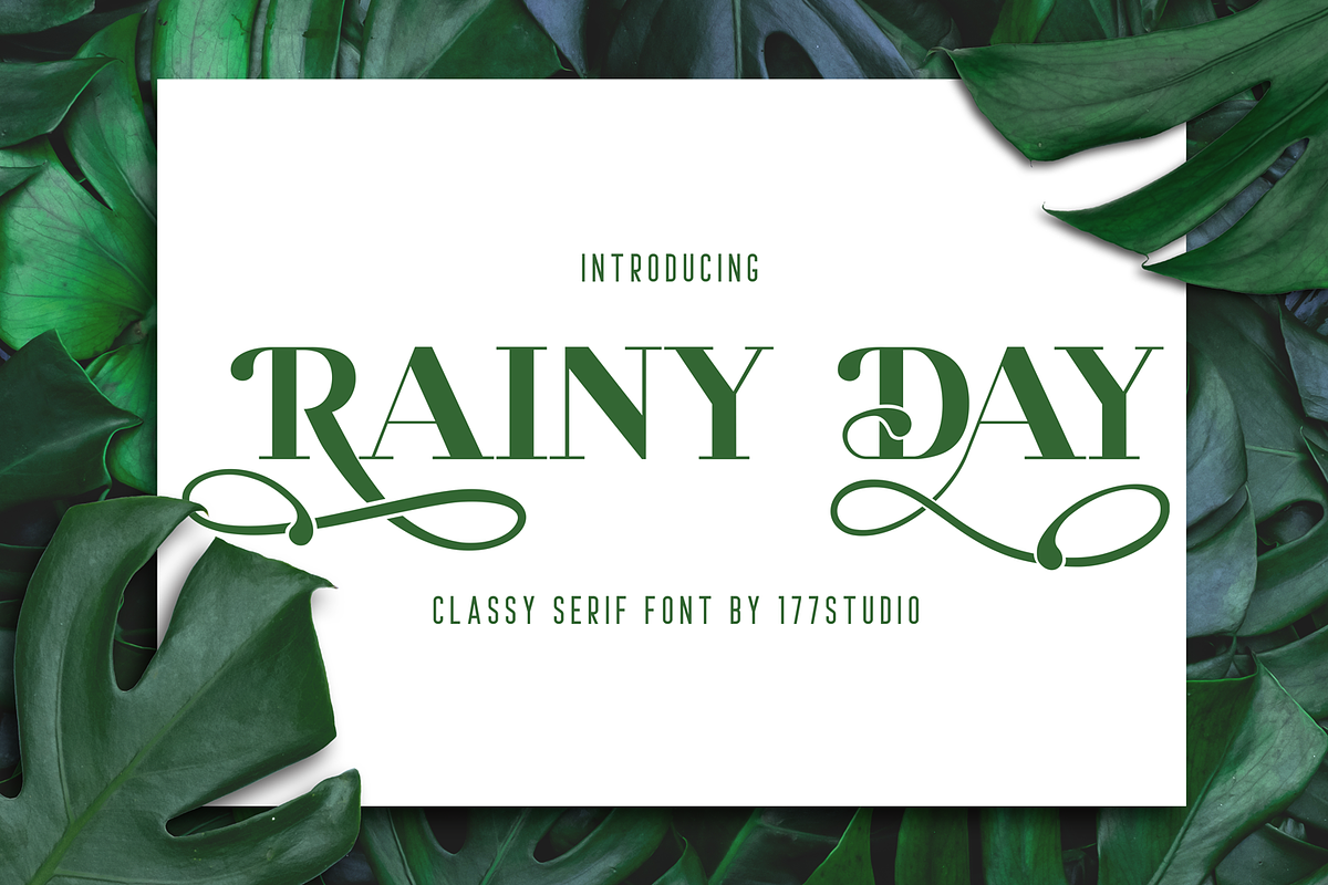 RAINY DAY Serif Font, a Serif Font by 177Studio (Photo 1 of 5)