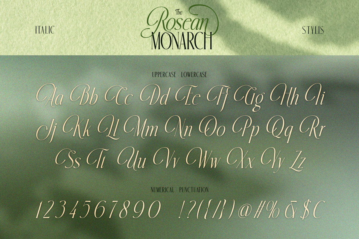 Rosean Monarch, a Serif Font by Burntilldead (Photo 8 of 12)
