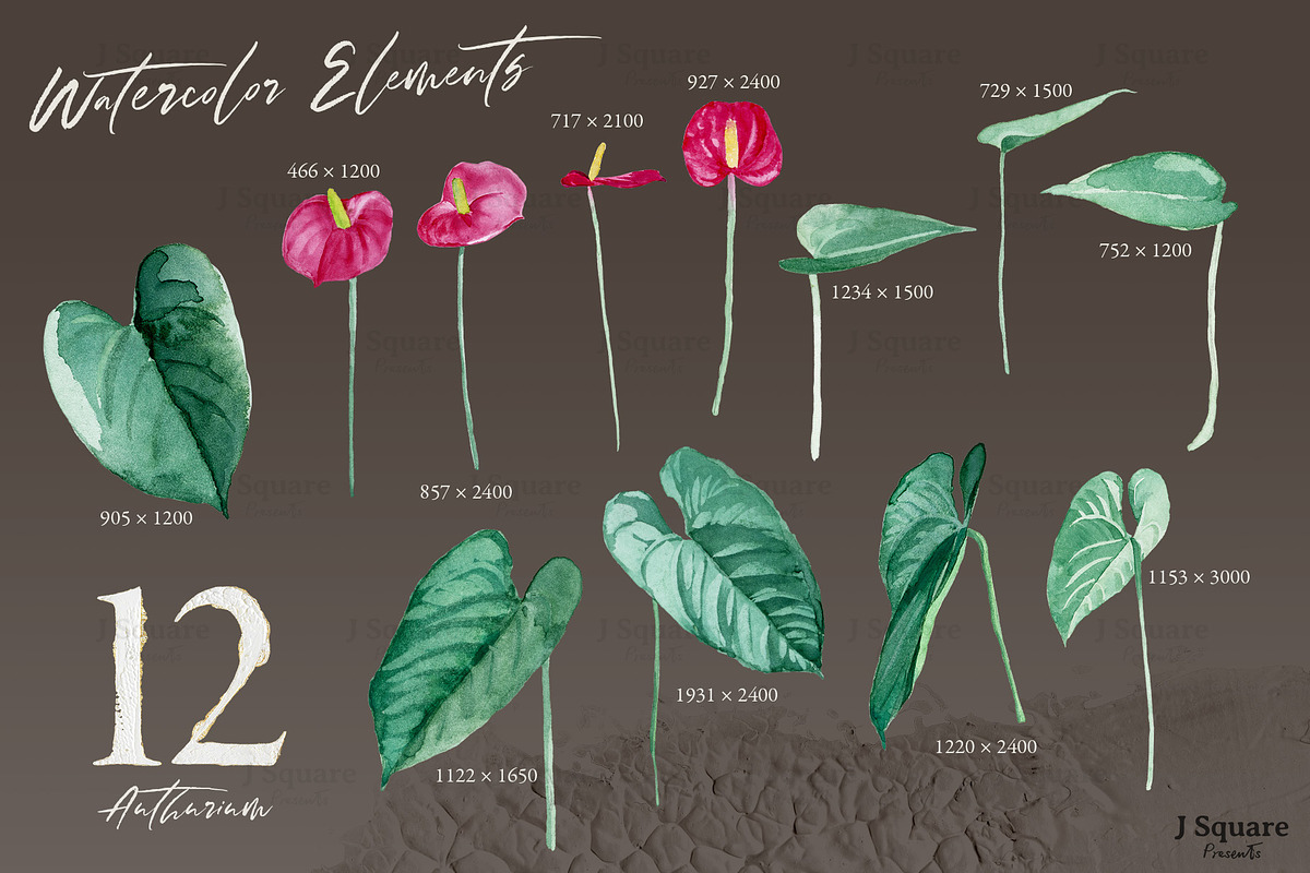 Modern Plants Design Kit, an Object Graphic by JSquarePresents (Photo 9 of 18)