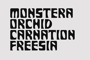 Derania - Monstera Display Font