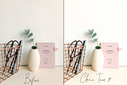 2 Mobile Lightroom - Clean Tone, an Action Add-On by The Red Pine (Thumbnail 5 of 9)