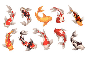 Colored koi fish. Japanese carps, an Animal Illustration by YummyBuum