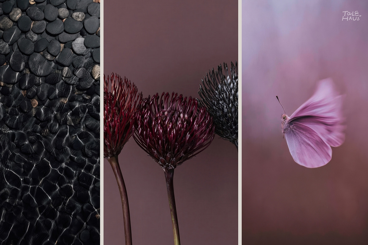 Dark Floral & Mineral Stock Photos, a Nature Photo by Tale.Haus (Photo 16 of 17)