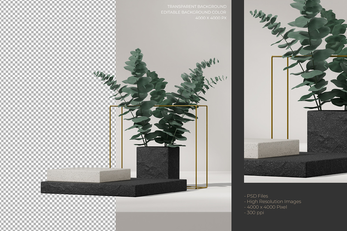 5 Podium with Transparent Background, a Background Graphic by faustudio (Photo 5 of 7)