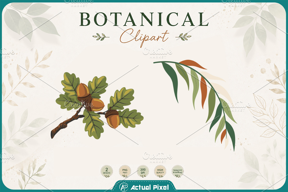 Boho Botanical Leaves Clipart Bundle, a Nature Photo by Actual Pixel (Photo 11 of 21)