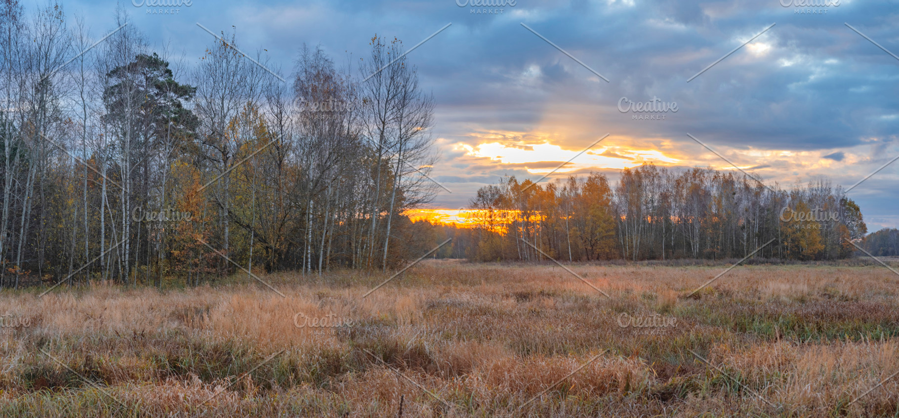 Forest and fields in late autumn., a Photo by Pictures for you!!!!!!!!!