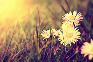 Spring concept featuring paint, painting, and graphic