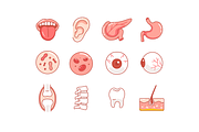 Human Organs Icon Set, an Outline Icon by Sinando Studio (Thumbnail 2 of 3)