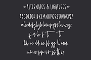 Shoelace Scrawl, a handwriting font, a Handwritten Font by Rachel White Art (Thumbnail 3 of 7)
