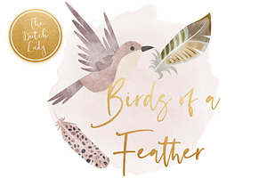 Birds & Feathers Clipart Set