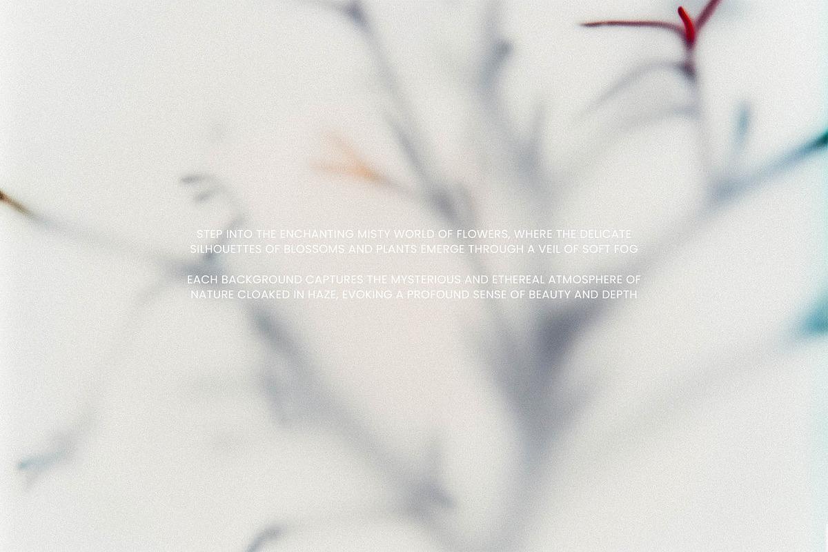 Foggy Flower Collection, a Background Graphic by nkate (Photo 2 of 11)