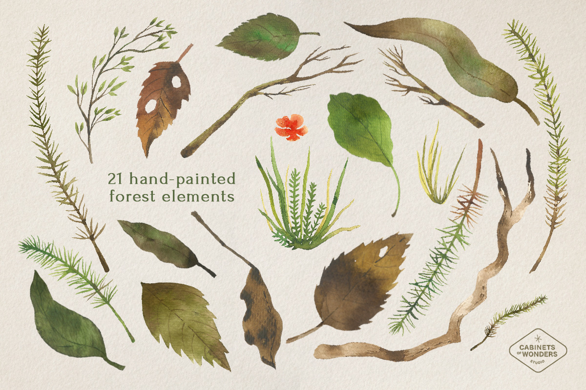 Mushroom Watercolor Clipart Set, an Illustration by STUDIO CABINET (Photo 3 of 6)