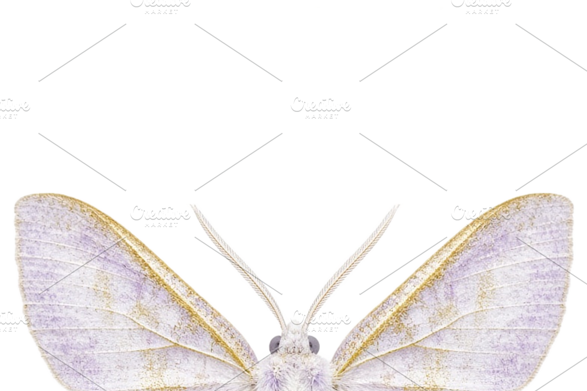ETARA Mystical Mockup Pack, an Object Graphic by ETARA by Mea Hau (Photo 47 of 60)