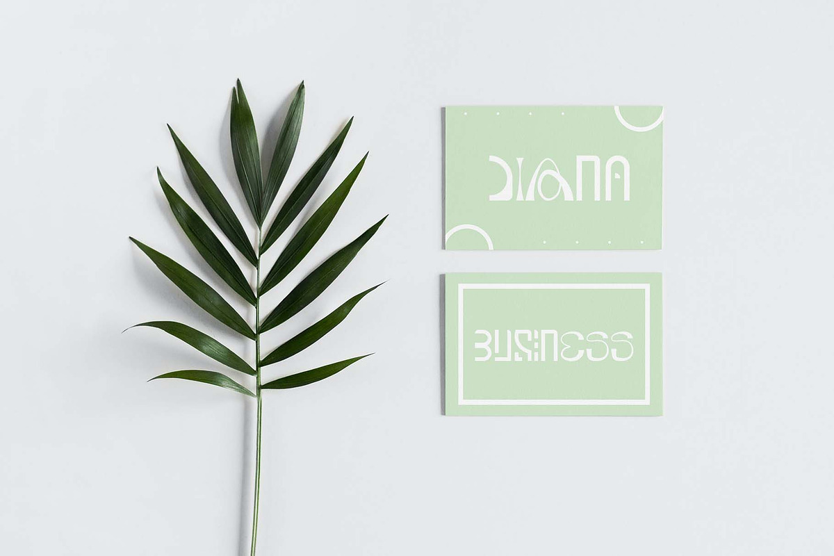 Staylishta Typeface, a Slab Serif Font by Nouric Design (Photo 9 of 9)