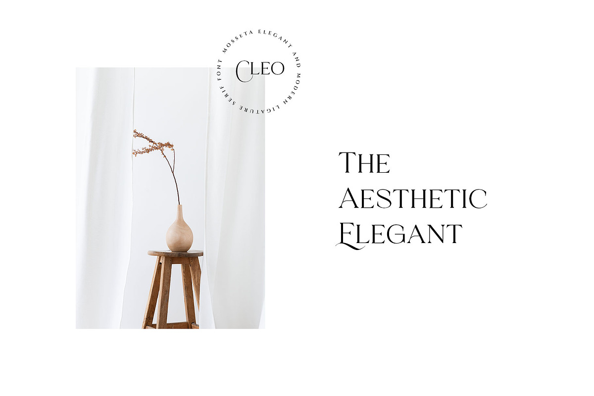 Mosseta Elegant Ligature Display, a Serif Font by RantautypeStudio (Photo 11 of 15)