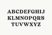 Mint And Sage, a Serif Font by Attract Studio (Thumbnail 18 of 21)