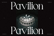 Pavilion - Elegant Display Serif, a Serif Font by spectertype (Thumbnail 4 of 11)