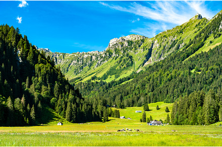 Landscape of the Obersee Valley in, a Nature Photo by Leonid Andronov