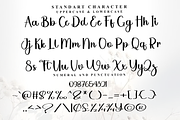 Awesome Snowflakes, a Handwritten Font by FreshTypeINK (Thumbnail 6 of 8)