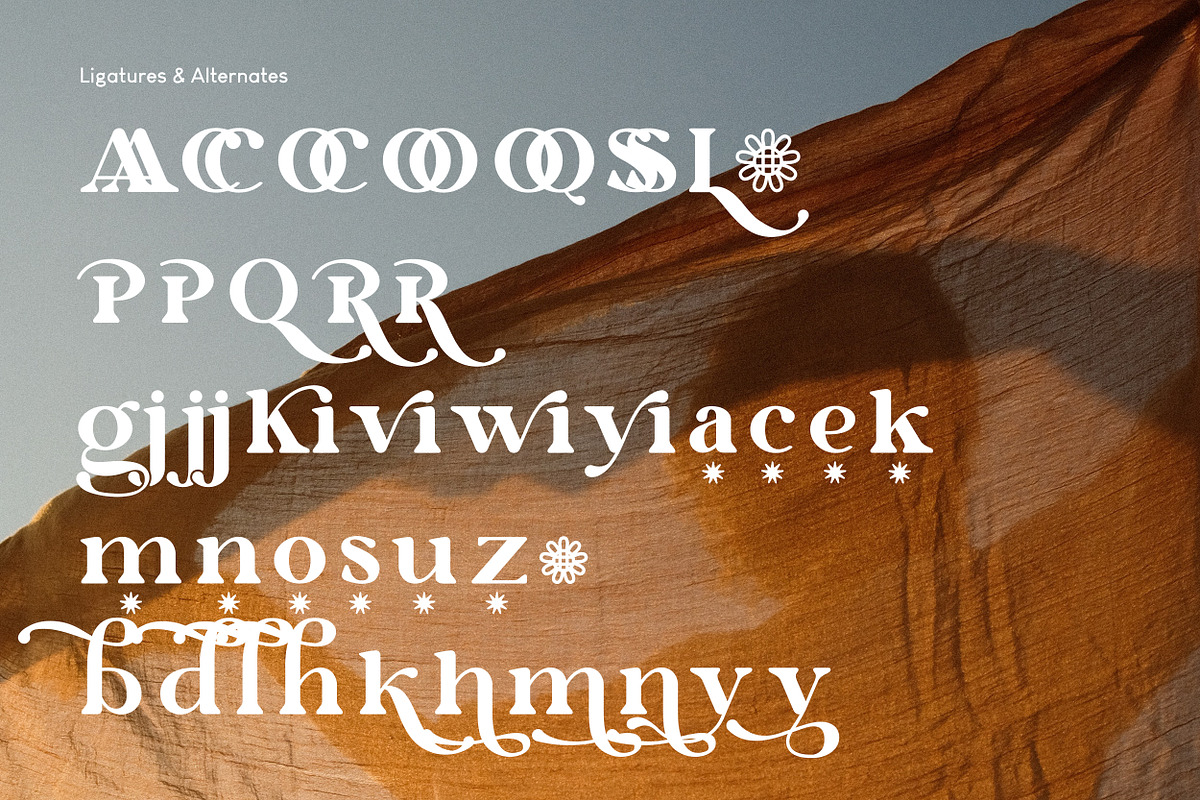 Royale & Caikes Elegant Typeface, a Serif Font by Hishand Studio (Photo 2 of 10)