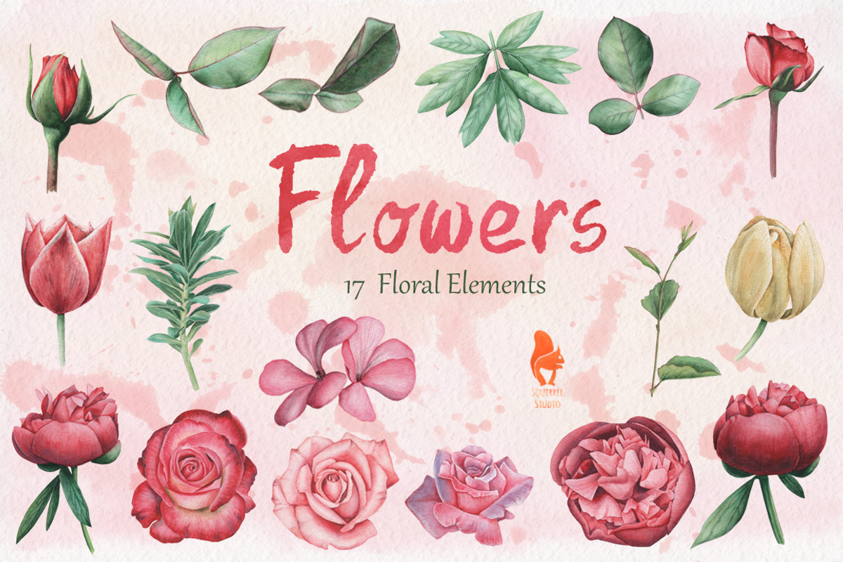 Flowers, Handpainted Watercolor, a Decorative Illustration by SquirrelStudio (Photo 2 of 5)