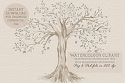 Family tree clipart, trees clipart,, an Illustration by CommercialCliparts (Thumbnail 1 of 3)