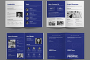 Modern Company Profile Identity, a Brochure Template by ContestDesign (Thumbnail 3 of 3)