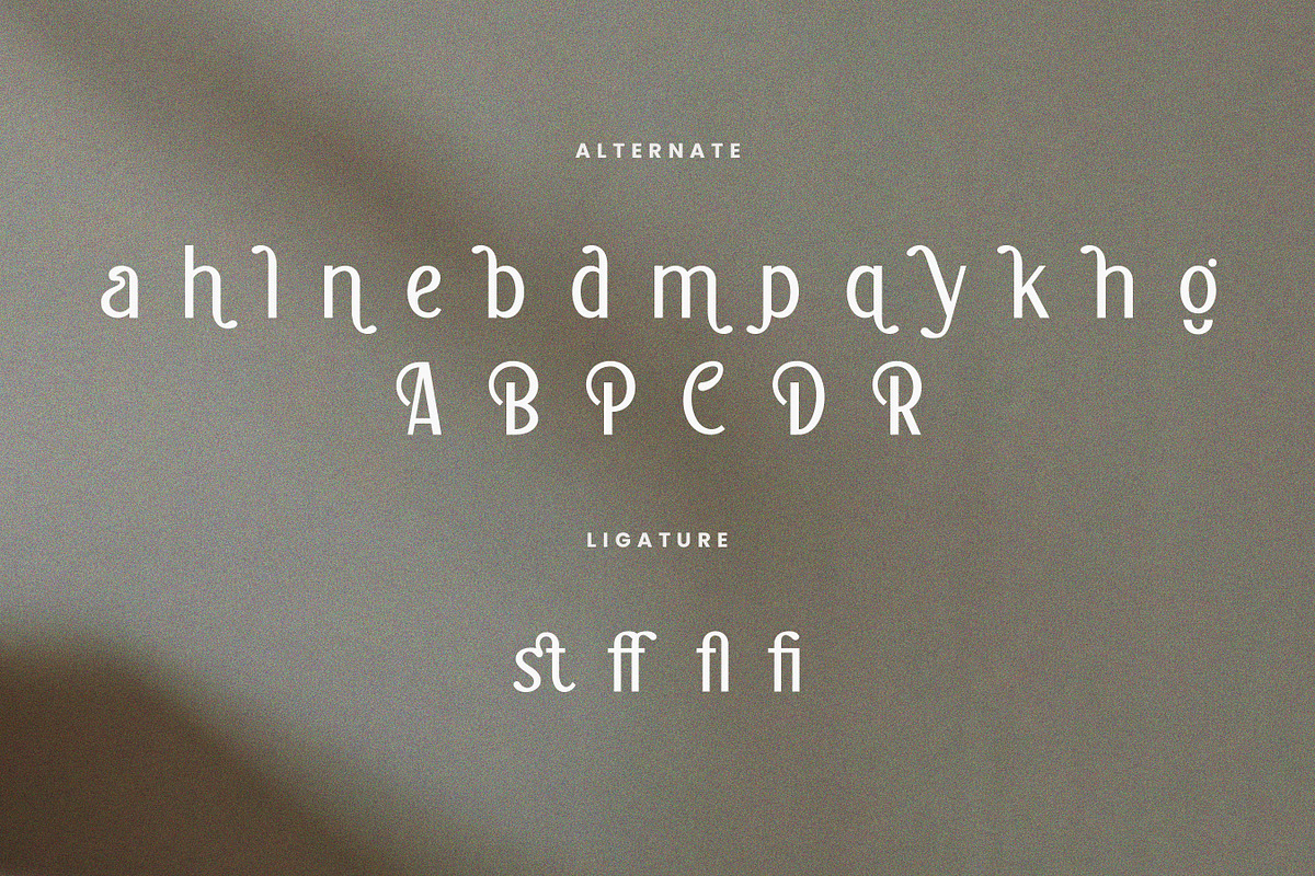 Chaline - Modern Elegant Sans Serif, a Sans Serif Font by Flawless And Co (Photo 10 of 10)