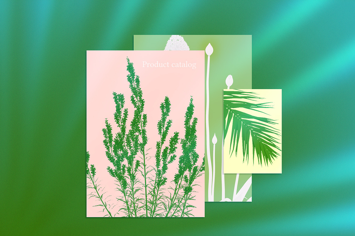 Nature Graphics Collection #03, an Object Graphic by ARKS ACADEMY (Photo 6 of 13)