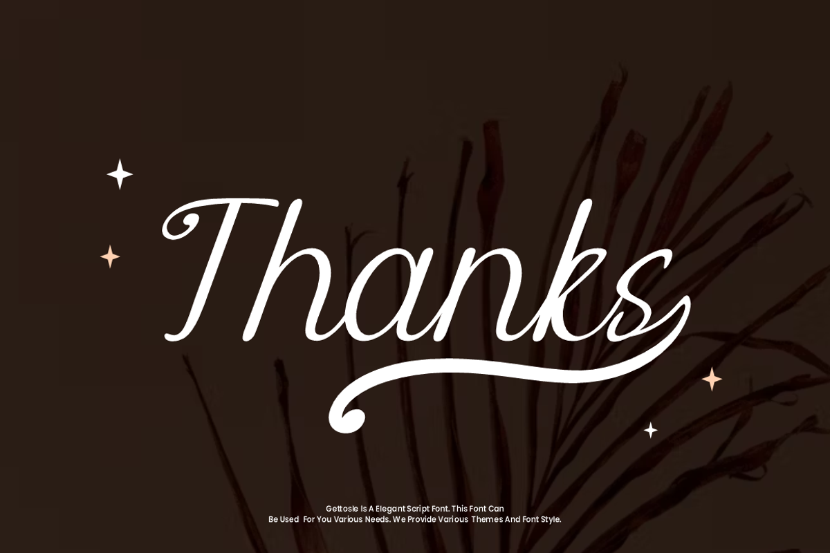 Gettosle - Elegant Script Font, a Handwritten Font by Iqsiart Studio (Photo 7 of 7)