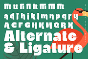 Comfort Pleasure Display Font, a Serif Font by timelesstype.co (Thumbnail 18 of 20)