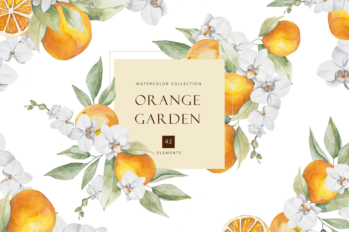 Watercolor citrus orange clipart, an Illustration by MariGraphic boutique (Photo 1 of 10)