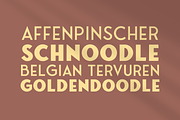 Fonseca ver.02 - 16 Fonts, a Sans Serif Font by Nasir Udin (Thumbnail 5 of 10)