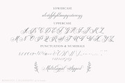 Glaston Romantic Calligraphy, a Script Font by Ef Studio (Thumbnail 13 of 13)