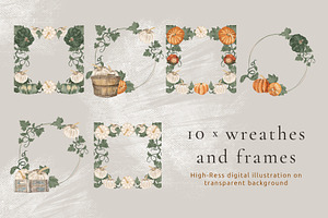 Pumpkin Harvest Illustration Set