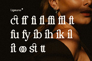 Buctera - Elegant Retro Serif Font, a Serif Font by Flawless And Co (Thumbnail 9 of 10)