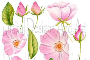 Garden Roses Clipart