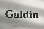 Galdin - Serif Font, a Serif Font by OWPictures (Thumbnail 1 of 10)