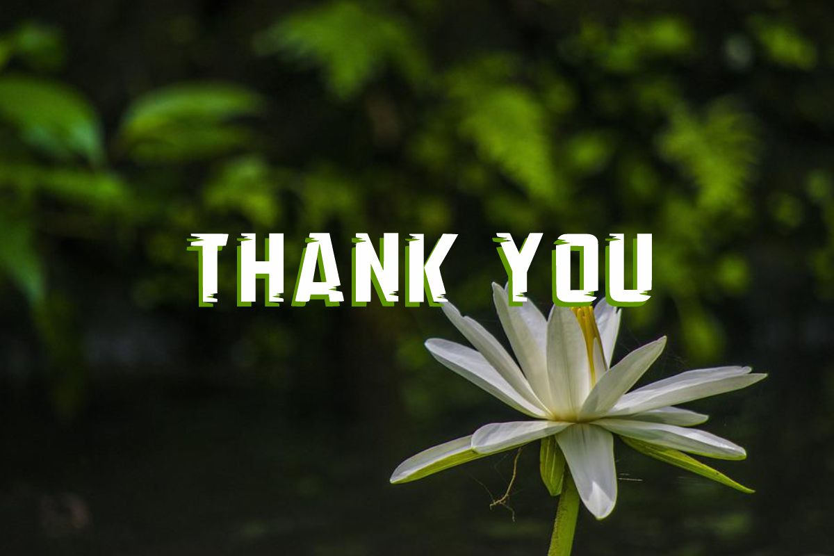 Green Jungle, a Slab Serif Font by Fourteen Letter (Photo 7 of 7)