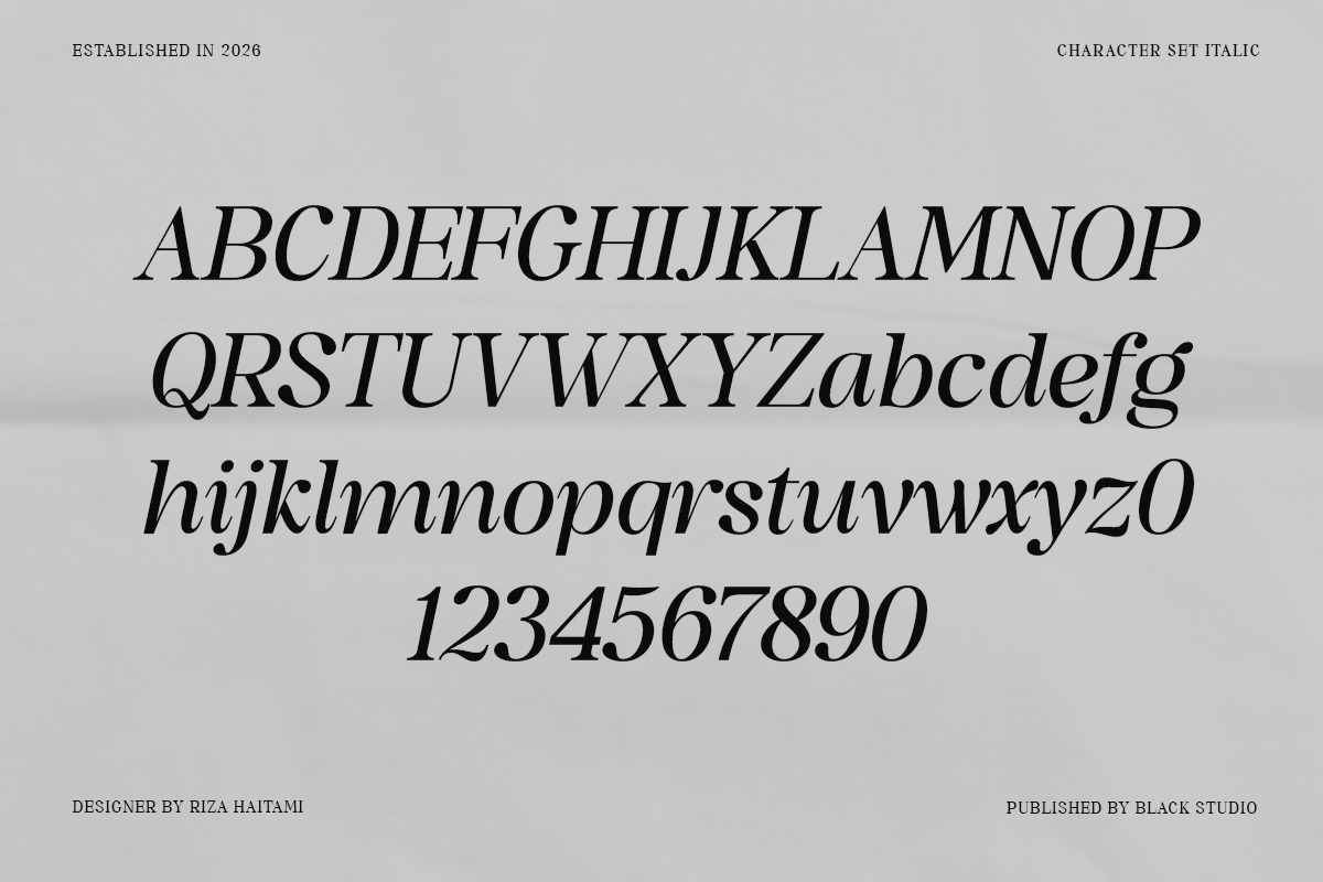 The Serifon Editorial, a Serif Font by Black Studio (Photo 15 of 17)