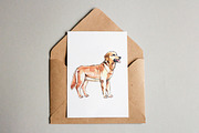 Watercolor vector domestic animals, an Animal Illustration by miminoshka (Thumbnail 6 of 8)