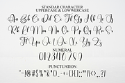 Natural Absolute, a Handwritten Font by InermediaSTUDIO (Thumbnail 6 of 8)